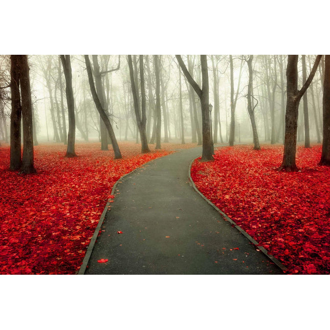 The Red Autumn artwork features a winding path through a misty forest with bare trees and vibrant red leaves, offering a museum-quality scene that evokes profound quiet and solitude.