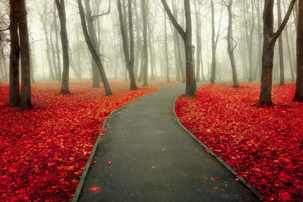 The Red Autumn artwork features a winding path through a misty forest with bare trees and vibrant red leaves, offering a museum-quality scene that evokes profound quiet and solitude.