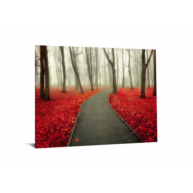 Red Autumn: A winding path in a foggy forest, surrounded by tall, bare trees. The ground is vibrant with red leaves, creating a stunning piece that contrasts beautifully with the grayish fog, reminiscent of museum-quality art.