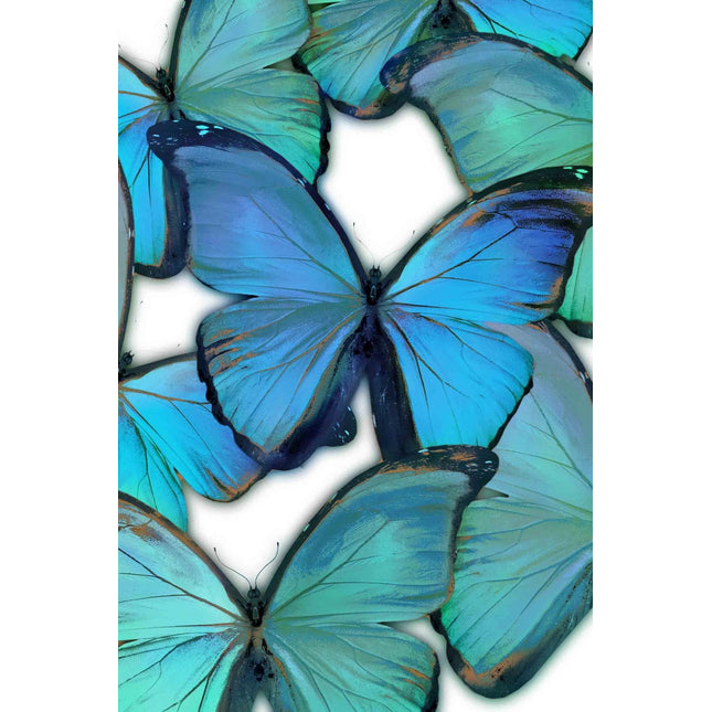 The Butterfly artwork features a close-up of blue butterflies with green and black accents, wings open to show intricate patterns. Displayed under tempered glass on a white backdrop, this museum-quality piece enhances vibrant colors, ideal for any home or office décor.