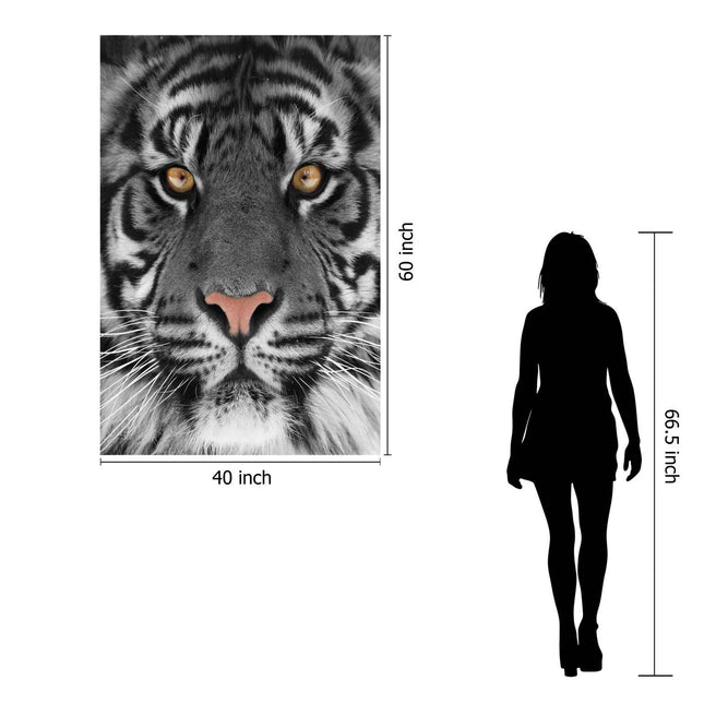 The museum-quality Tiger Eyes features a black and white tiger portrait with striking yellow eyes, measuring 40 inches wide by 60 inches tall. Its dimensions resemble a 66.5-inch person silhouette, making it a perfect statement piece for any home or office.