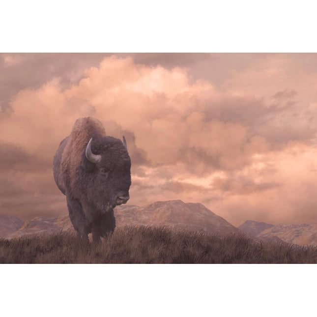 The Sepia Buffalo artwork features a solitary bison on grassy land with mountains beneath a dramatic, cloudy sky. Framed with floating tempered glass, the sunsets warm hues highlight the landscape and bison fur, crafting a museum-quality piece that leaves a lasting impression.