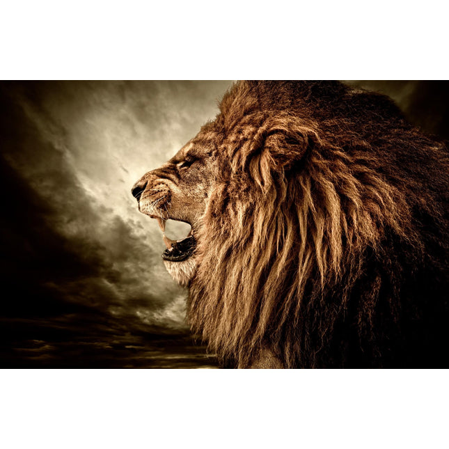 A majestic lion with a thick mane roars against a cloudy sky in a sepia-toned, museum-quality artwork. The close-up highlights its fierce expression and detailed fur texture, showcased on floating tempered glass. Product: Lion.
