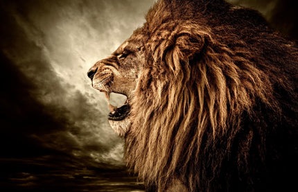 A majestic lion with a thick mane roars against a cloudy sky in a sepia-toned, museum-quality artwork. The close-up highlights its fierce expression and detailed fur texture, showcased on floating tempered glass. Product: Lion.
