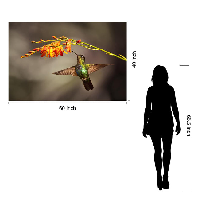 The Hummingbird features the silhouette of a standing figure beside a stunning 60x40 tempered glass artwork depicting a hummingbird near vibrant orange flowers. This museum-quality piece is sure to leave a lasting impression.