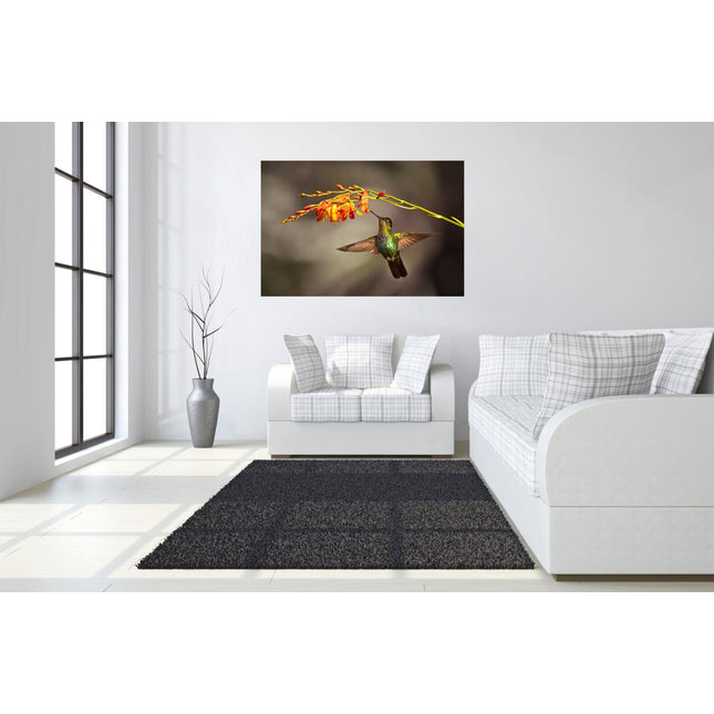 A modern living room showcases a museum-quality artwork titled Hummingbird depicting the bird near a flower, complemented by a white couch and chair with gray plaid cushions, a black rug, and a tall gray vase with branches. Natural light streams through tempered glass windows.