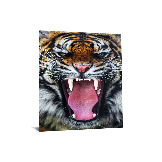 The Roaring Tiger features a close-up image of a tiger with an open mouth and sharp teeth, presented as museum-quality artwork. Its orange fur with black stripes and fierce expression create a stunning piece on a white backdrop, akin to being mounted on floating tempered glass.
