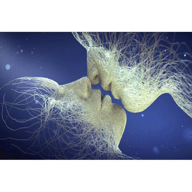The Lasting Kiss artwork features two faces crafted from intertwining, translucent lines kissing against a dark blue background, evoking an ethereal connection and merging forms akin to figures in tempered glass.