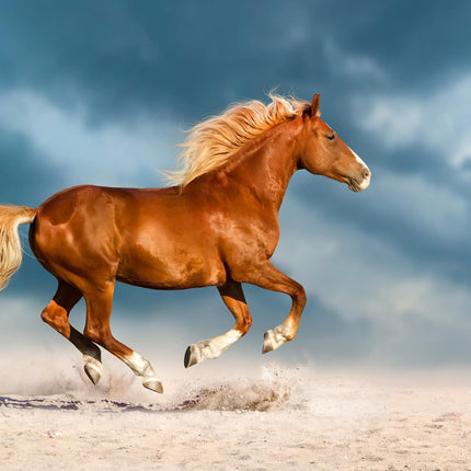 Under a dramatic sky, the chestnut horse of Golden Gallop races across sandy terrain, mane flowing and dust rising beneath its hooves, creating a scene reminiscent of museum-quality art while capturing an unforgettable sense of speed and freedom.