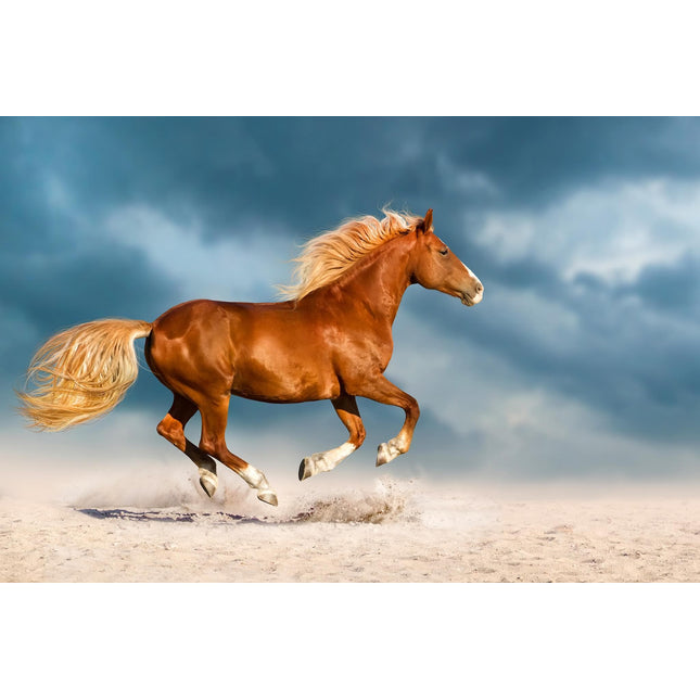 Under a dramatic sky, the chestnut horse of Golden Gallop races across sandy terrain, mane flowing and dust rising beneath its hooves, creating a scene reminiscent of museum-quality art while capturing an unforgettable sense of speed and freedom.