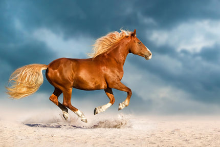 Under a dramatic sky, the chestnut horse of Golden Gallop races across sandy terrain, mane flowing and dust rising beneath its hooves, creating a scene reminiscent of museum-quality art while capturing an unforgettable sense of speed and freedom.