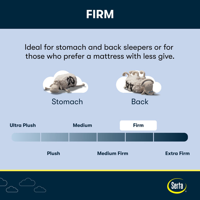 Serta® Perfect Day Mattress (MIB!)
