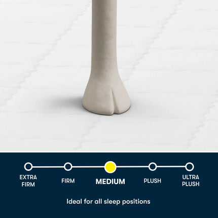 Serta Perfect Day 8" Medium Mattress in a Box
