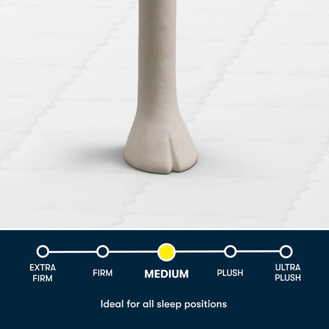 Serta Perfect Day 7" Firm Mattress in a Box
